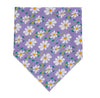 Daisy Bandana