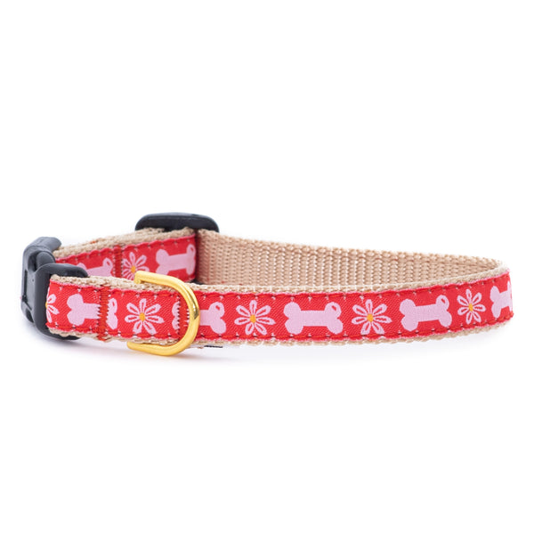 Bones in Bloom Small Breed Dog Collar