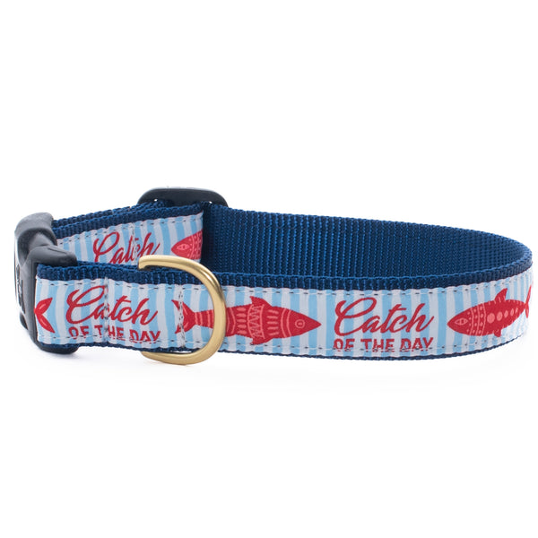Catch of the Day Dog Collar