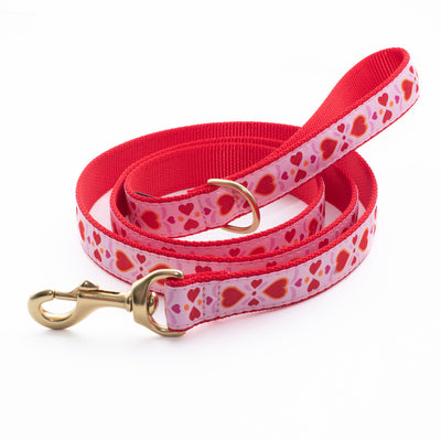 Heart to Heart Dog Lead