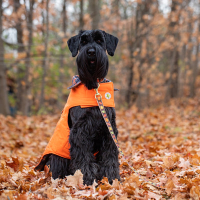 Orange Field Coat