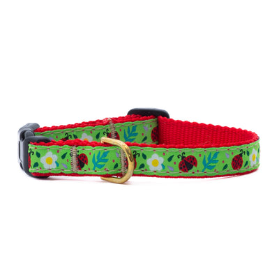 Ladybugs Small Breed Dog Collar