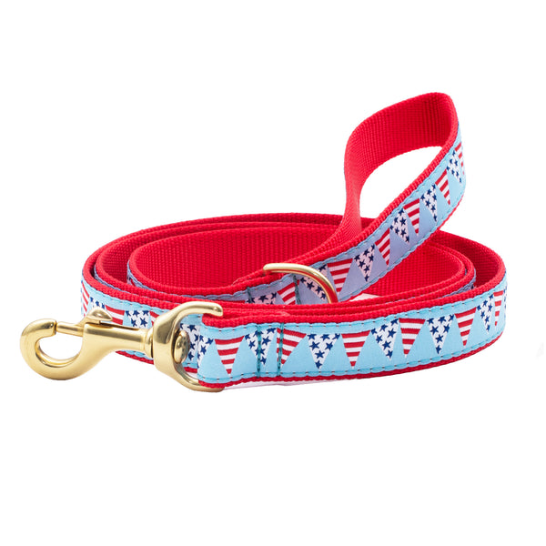 Party in the USA Dog Lead