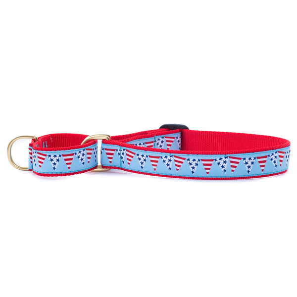 Party in the USA Martingale
