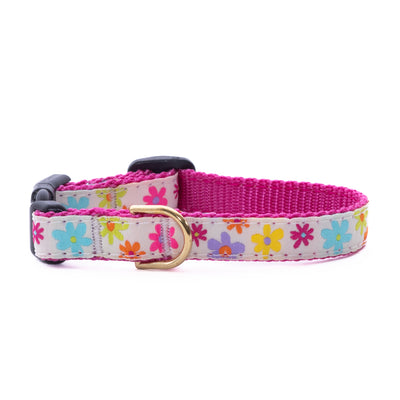 Spring Fever Small Breed Dog Collar