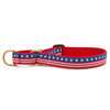 Stars and Stripes Martingale