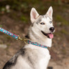 Up Country Cherry Blossoms Dog Collar 