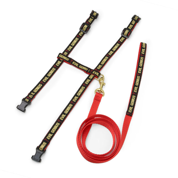 Evil Genius Cat Harness Set