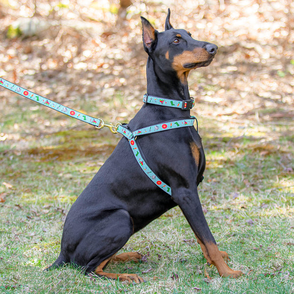 Garden Pawty Dog Collar