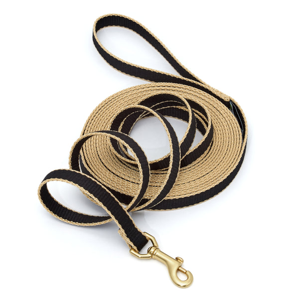 Green Market Dog and Puppy Training Lead