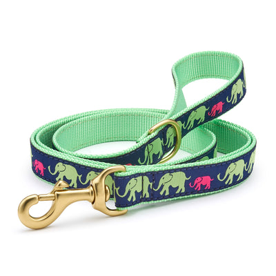 Leader of the Pach Dog Lead