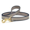 Color Market Dog Lead
